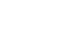 BioMerge Field Solutions Inc